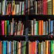Bibliotecas de São Paulo e Parque Villa-Lobos retomam atividades - Educageral